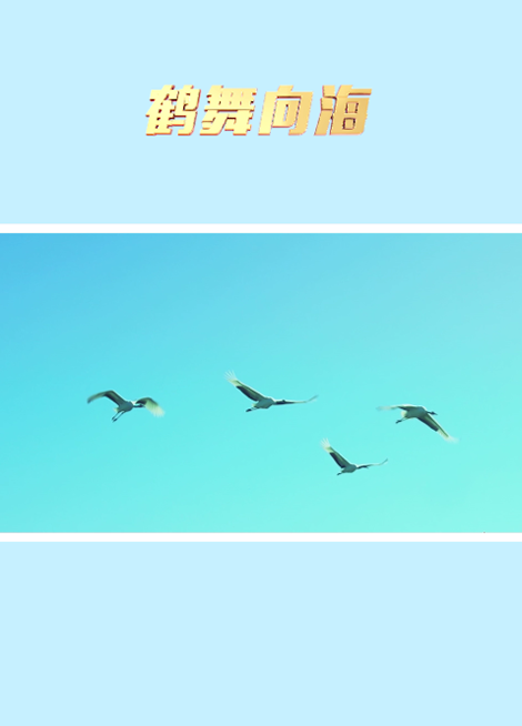 鶴舞向海.png